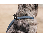 Retriever-Leine Rope