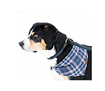 Retriever-Leine Rope