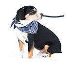 Retriever-Leine Rope