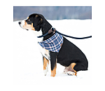 Retriever-Leine Rope