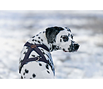 Hundegeschirr Piper