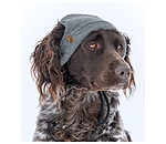 Hunde-Beanie Evin