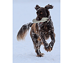 Trainingsdummy fr Hundes Nemo