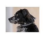 Leder-Hundehalsband Romy