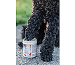 Pfotenschutz-Balsam Soft Velvet für Hunde