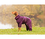 Hunde-Bademantel Allover Dry