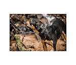 Hunde-Lederhalsband Nashville