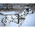 Norweger-Hundegeschirr Miley