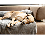 Teddyfleece-M�belschutz Guard