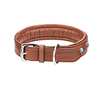 Hunde-Lederhalsband Chinook