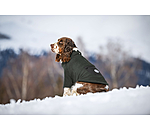 Sherpa-Hunde-Sweater Eden
