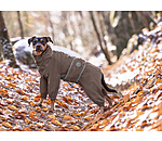 Allover-Hunde-Regenjacke Sequoia II, 0 g