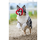 Tau-Spielzeug Valentine für Hunde