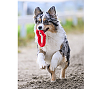 Tau-Spielzeug Valentine für Hunde