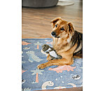 Hundedecke Glow in the Dark