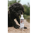 Hundeshampoo Sensitive Care