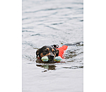 Wasserspielzeug Marble Bone  für Hunde