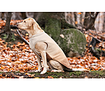 Softshell-Hunde-Wendeweste Willa, 80 g