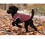 Softshell-Hunde-Wendeweste Willa, 80 g
