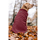 Softshell-Hunde-Wendeweste Willa, 80 g