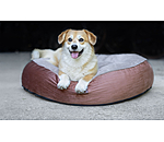 Memory Foam Hundebett Quincy