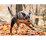 Plüschspielzeug Jasper für Hunde