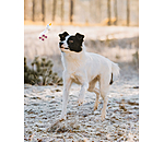 Quietsch-Spielzeug Unicorn fr Hunde
