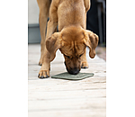 Schleckmatte Classic Line f�r Hunde