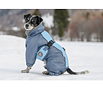 Schnee-Overall Mount Whistler für Hunde, 120 g