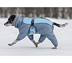 Schnee-Overall Mount Whistler für Hunde, 120 g