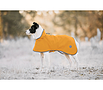 Hunde-Regenmantel Thousand Islands, 0 g