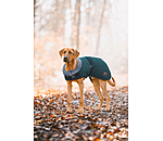 Winter-Hundemantel Gizmo mit Teddyfell-Innenfutter, 200 g