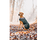 Winter-Hundemantel Gizmo mit Teddyfell-Innenfutter, 200 g