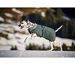 Winter-Hundemantel Gizmo mit Teddyfell-Innenfutter, 200 g