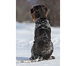 Hundegeschirr Expedition