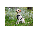 Hundegeschirr Expedition