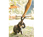 Plschspielzeug Bounce fr Hunde