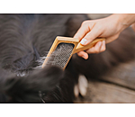 Hunde-Zupfbrste Woody