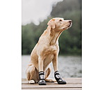 Pfotenschutz-Schuhe Dubai fr Hunde
