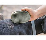Hunde-Striegel Zeyna