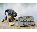 Hundekuchen-Silikon-Backform