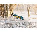 Lightweight Hunde-Regenmantel  Alma, 0 g