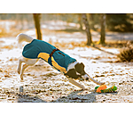Lightweight Hunde-Regenmantel  Alma, 0 g