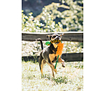 Hunde-Zerrspielzeug Agi