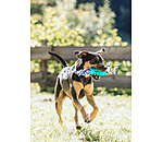 Zahnputz-Hundespielzeug Anny
