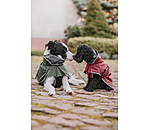 Softshell-Hundemantel mit Fleecekragen Frida
