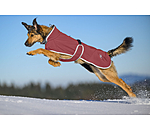 Softshell-Hundemantel mit Fleecekragen Frida