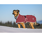 Softshell-Hundemantel mit Fleecekragen Frida