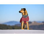 Softshell-Hundemantel mit Fleecekragen Frida