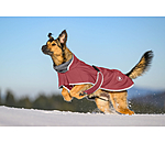 Softshell-Hundemantel mit Fleecekragen Frida